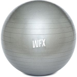 #DoYourFitness - Gymnastiek Bal - »Orion« - zitbal en fitness bal ter ondersteuning van lichaamshouding, coördinatie en balans - Maat : 55 cm - Zilver