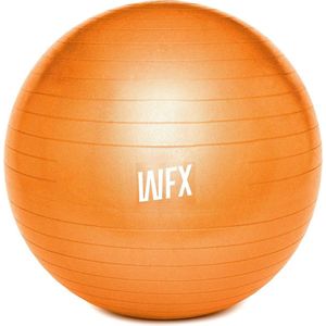 #DoYourFitness - Gymnastiek Bal - »Orion« - zitbal en fitness bal ter ondersteuning van lichaamshouding, coördinatie en balans - Maat : 55 cm - Oranje