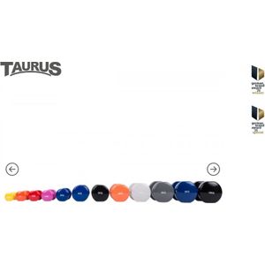 Taurus Vinyl Halter – 5kg – Zwart – per stuk – dumbbell – dumbell - halter – earobics – earobic – pumptraining5kg - Dumbbel