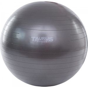 Taurus Gym Bal – 75cm – Grijs -  Yoga bal – zitbal – workout bal – Anti burst