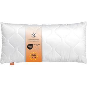 sleepling Basic 100 hoofdkussen, 30 x 50 cm, sierkussen, bankkussen, Ökotex, wasbaar tot 60 graden, Made in EU, vulling kwantiteitsgarantie, maatgarantie, wit