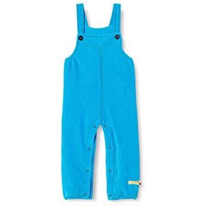 loud + proud Unisex kindertuinbroek corduroy broek, aqua, 62-68
