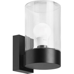 Brumberg 60140180 (1 stuk, 8 W), HiFi + Home Cinema luidsprekers, Zwart