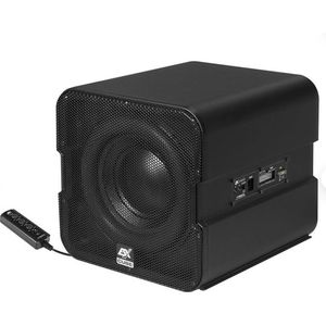 ESX V1600A Actieve SUBWOOFER Cube - 20 cm (8') actieve subwoofer met 8 inch passief embraan