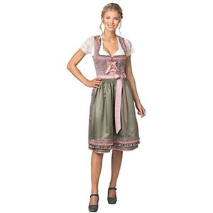 Stockerpoint Dirndl Julia jurk voor dames, roze/groen