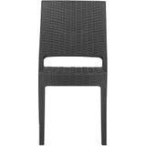 Tuinstoel tafel donkergrijs wicker set van 2