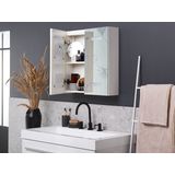 Badkamer spiegelkast zilver multiplex 60 x 60 cm hangende 2-deurs kast met LED-verlichting strip