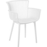 Set of 4 Dining Chairs Wit Plastic Indoor Outdoor Garden with Armrests Minimalistic Style