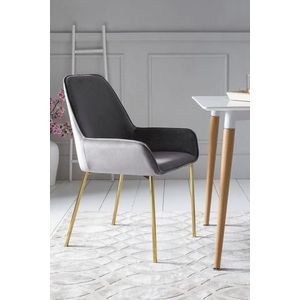 SalesFever Gestoffeerde stoel set van 2 | Fauteuil met fluweel-look | Goudkleurig metalen frame | B 56 x D 54 x H 90 cm | Grijs - grijs Multi-materiaal 381717