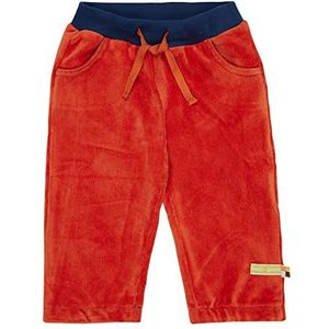 loud + proud Unisex corduroy, GOTS gecertificeerde broek, cinnamon, 62/68