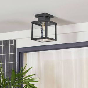 Plafondlamp Mandus - Zwart - Roestvrij Staal, Glas - IP23