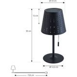 Lindby - Solar buitenverlichting- met dimmer - 1licht - Ijzer, plastic - H: 30 cm - zwart - Inclusief lichtbron