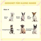 PawHut Hundehütte wetterfestes Hundehaus aus Tannenholz mit Asphaltdach & Türvorhang Grau 71x58x53/77cm für kleine Hunde  Aosom.de