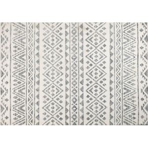 ASPANI - Vloerkleed - Beige/Grijs - 160 x 230 cm - Polyester