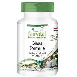 Fairvital | Blaas (urineblaas) capsules - met pompoenzaad, guldenroede, sumak, sint-janskruid en vitamine E - HOOG GEDOSEERD & VEGAN - voedingssupplement 90 capsules