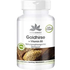 Goudgierstcapsules - met vitamine B5 - veganistisch - haarnagelhuidcapsules - 250 capsules | HERBADIREKT by Warnke Vitalstoffe - Duitse apothekerskwalitei