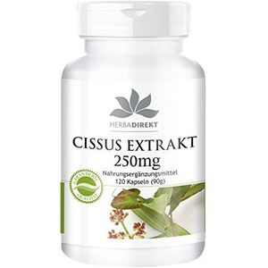 Cissus Capsules - Cissus Quadrangularis Extract 250mg - 20% Ketosteron - 120 Capsules | HERBADIREKT by Warnke Vitalstoffe - Duitse apothekerskwalitei