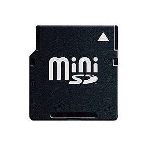 Extrememory Mini Secure Digital (SD) 1GB geheugenkaart (originele verpakking)