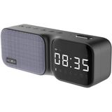 Reflexion - TRA2350DAB - Draagbare DAB+/FM-Radio - Zwart - Inclusief Draagriem