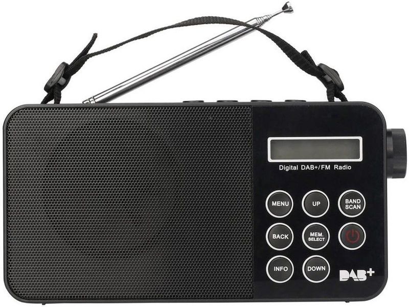 Reflexion - TRA2350DAB - Draagbare DAB+/FM-Radio - Zwart - Inclusief Draagriem