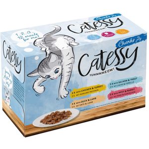 24x100g Hapjes in Gelei met 4 verschillende soorten Catessy Kattenvoer