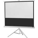 celexon Stativleinwand Economy 244 x 138 cm - White Edition