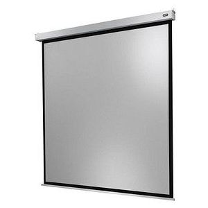 celexon projectiescherm Motor Professional Plus 300 x 300 cm