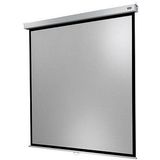 celexon Rolloleinwand Professional Plus 1:1, 180 x 180 cm Projektionsfläche