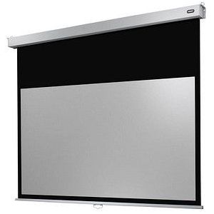 celexon Leinwand Rollo Professional Plus 220 x 137 cm