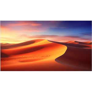 celexon frame projectiescherm Expert PureWhite 280 x 175 cm