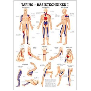 Ruedige Anatomie MIPO73 Taping Basistechniken I Tafel, 24 cm x 34 cm