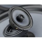 Audio System - CO-Series - Coaxiaal Systeem - Neodymium-Tweeter - 165 mm