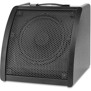 Classic Cantabile - AP-30 - Actieve Monitor - 10 inch Coaxiale Speaker - 30 Watt Vermogen - 3-Band EQ