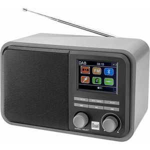 Dual, 75299, DAB AA851 digitale radio met accu en Bluetooth, DAB+/FM, MP3, USB-/SD-aansluiting, kleurendisplay, AUX-in, zendergeheugen, telescopische antenne, grijs