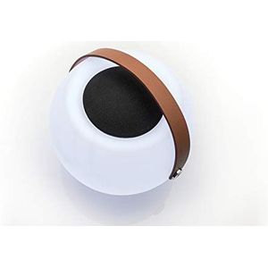 Dual BTP 2 Draagbare Bluetooth luidspreker met lichteffect