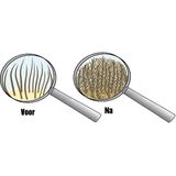 Hairfor2 Colorspray 100 ml - Zwartbruin