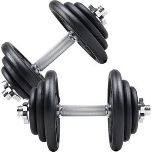 ScSPORTS® Dumbbellset 40 kg - Halterset - Gietijzer - 30 mm - Korte halterstangen met Halterschijven - Gewichten