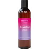 Benecos - Volume Shampoo - 100% Natuurlijke Shampoo - Vegan