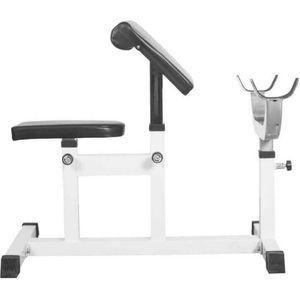 Gorilla Sports Biceps Curlbank - Fitnessbank - Verstelbaar