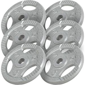 Gorilla Sports Gewichten - Set 30 kg - 6 x 5 kg - Gripper Gietijzer - 30 mm