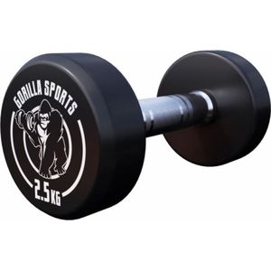 Gorilla Sports Dumbbell - 2,5 kg - Halter - Vaste dumbell - Gietijzer