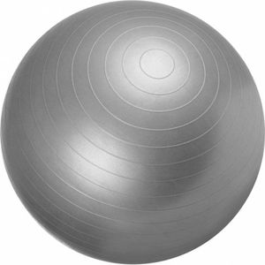 Fitness bal grijs 55 cm - inclusief pomp - belastbaar tot 500 kg