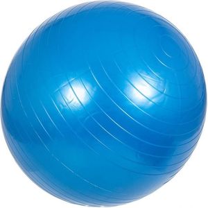 Fitnessbal Blauw 75 cm incl. pomp