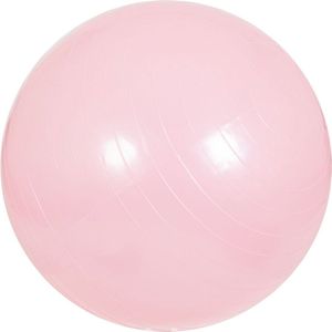 Fitnessbal Roze 65 cm incl. pomp