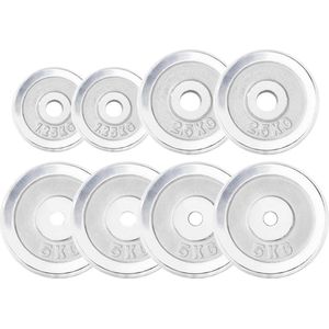 Gorilla Sports Halterschijven Set - Bundel - 27,5 kg (4 x 5 kg, 2 x 2,5 kg & 2 x 1,25 kg) - Chroom - 30 mm