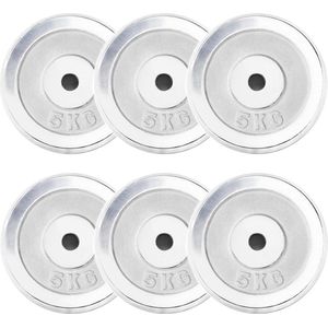 Gorilla Sports Halterschijven Set - Bundel - 30 kg (6 x 5 kg) - Chroom - 30 mm