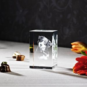 3D Foto in hoogwaardig kristalglas Nano