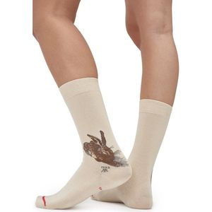 Albrecht Dürer - Young Hare 36-40