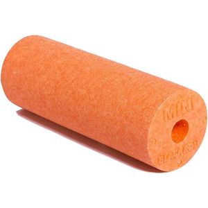Blackroll Mini Foam Roller - 15 cm - Oranje