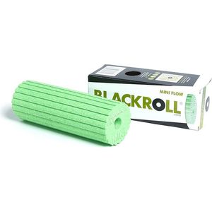 Blackroll Mini Flow Foam Roller 15 cm Green